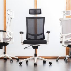 Silla Q1 Base Dubai 10-01-2024