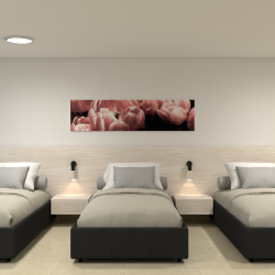 Triple Opcion 1, Render 1