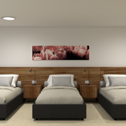 Triple Opcion 2, Render 1