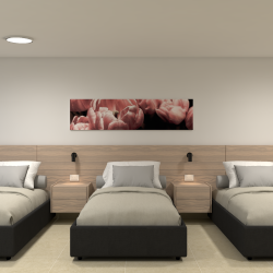 Triple Opcion 3, Render 1